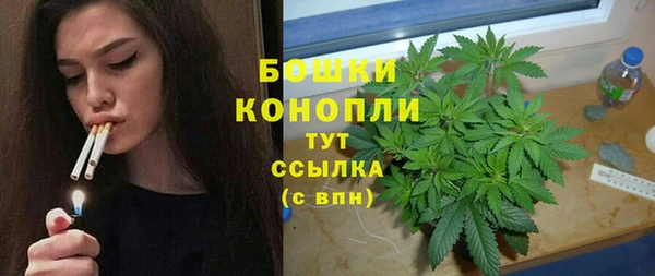 ГАЛЛЮЦИНОГЕННЫЕ ГРИБЫ Кулебаки