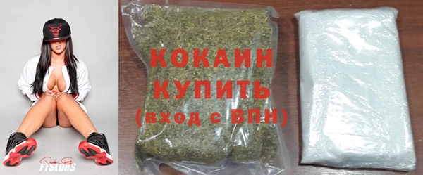 ECSTASY Краснослободск