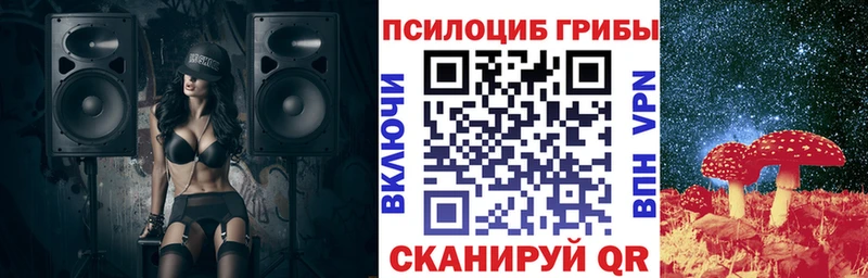 Галлюциногенные грибы ЛСД  Купить закладки  Гудермес 