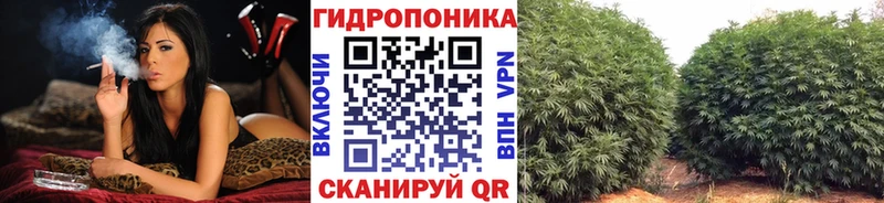 Купить  Гудермес  Шишки марихуана конопля 